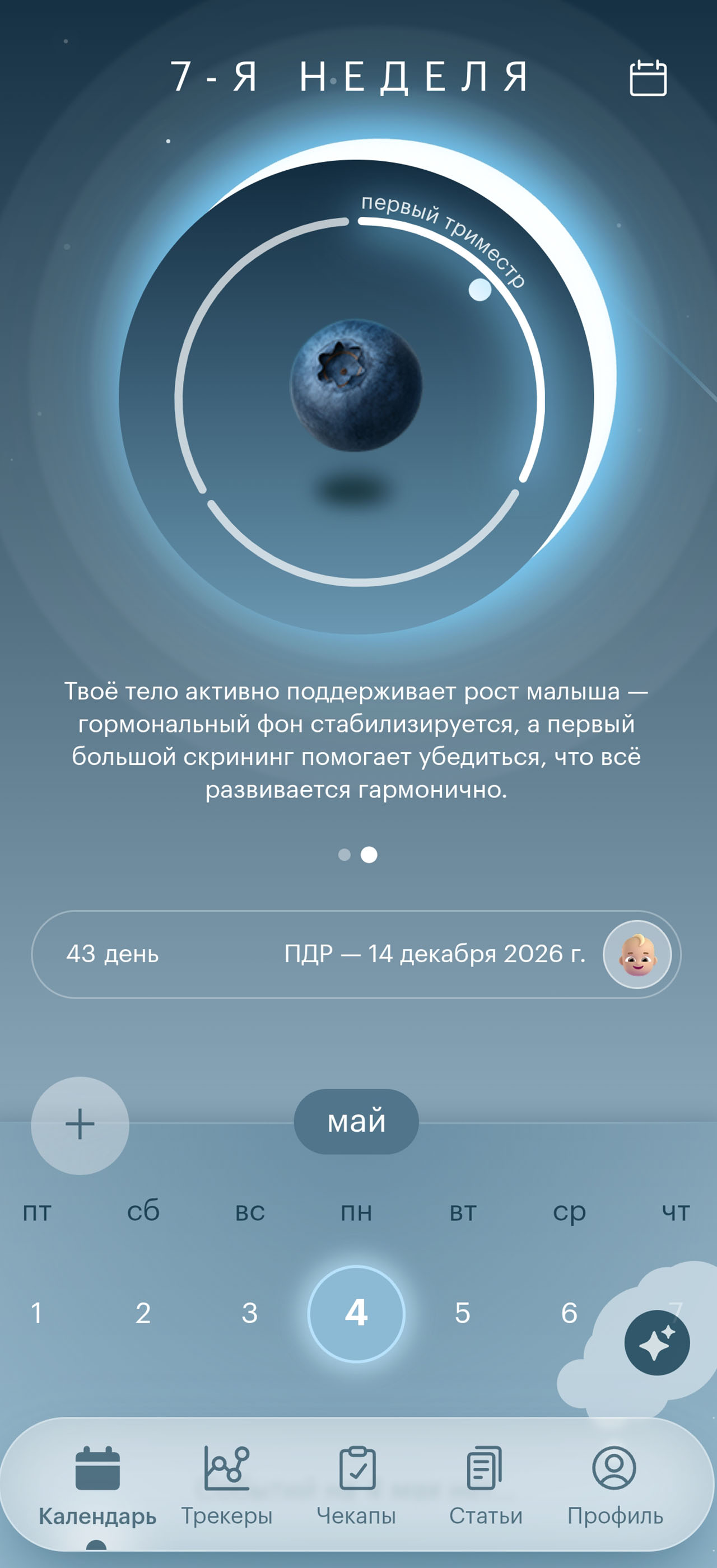 Скриншот календаря в Luna