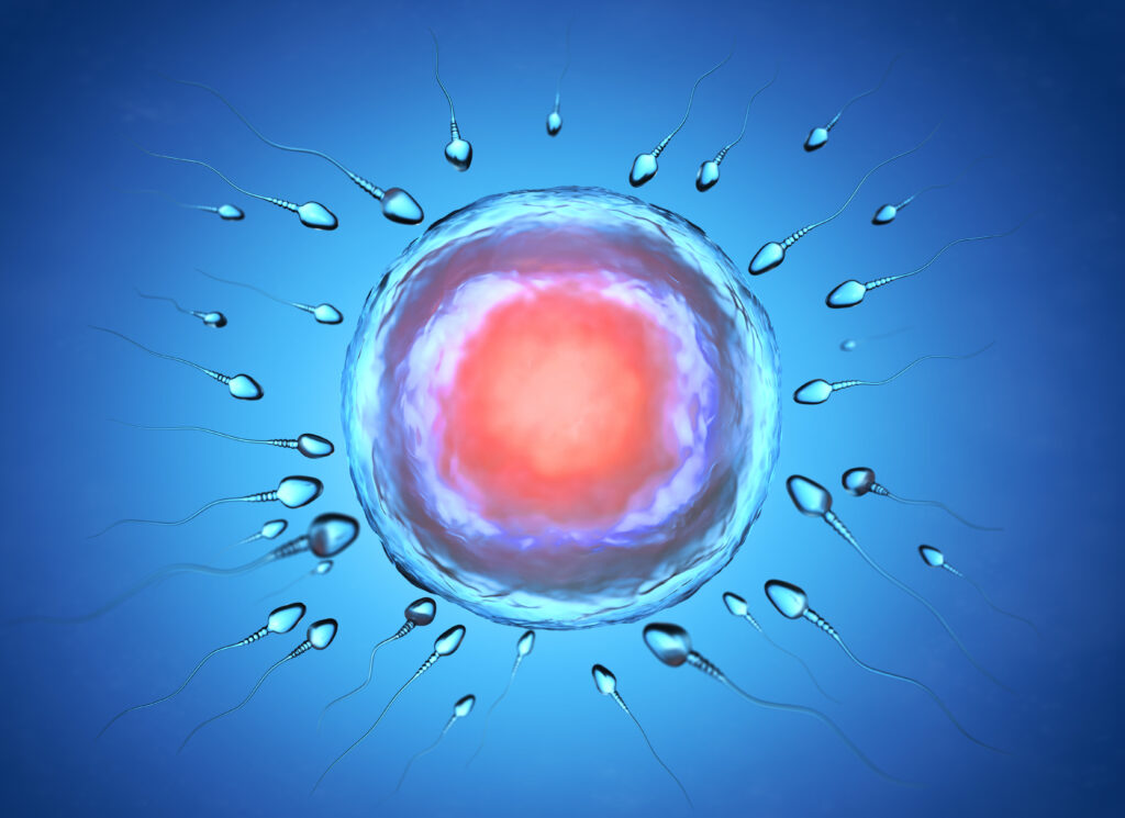 How to Use an Ovulation Tracker More Accurately